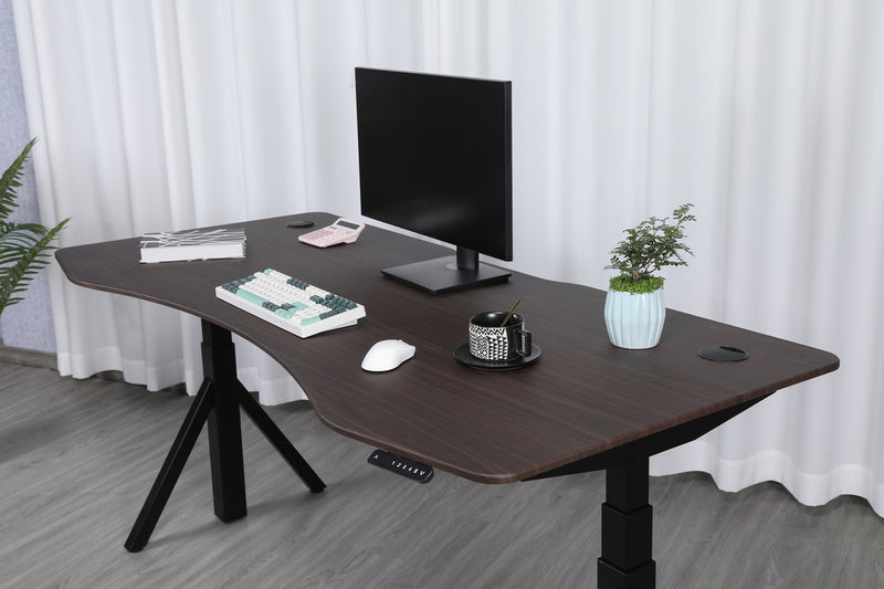 Quattro Series 60" Electric Standing Desk with Curved Top