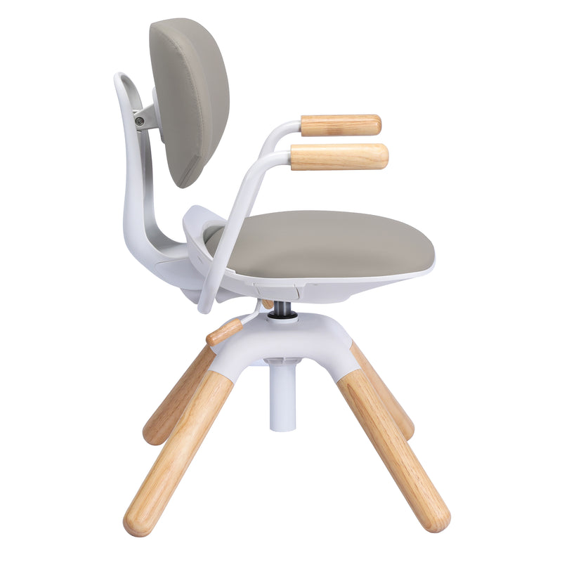 ApexDesk Kaleid Series Adjustable Desk Chair