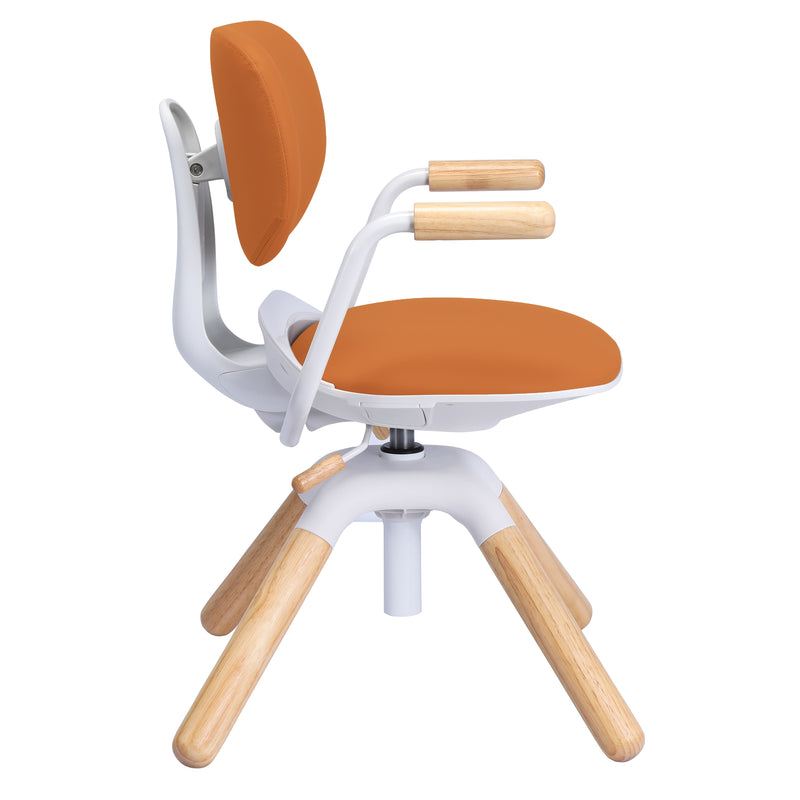 ApexDesk Kaleid Series Adjustable Desk Chair