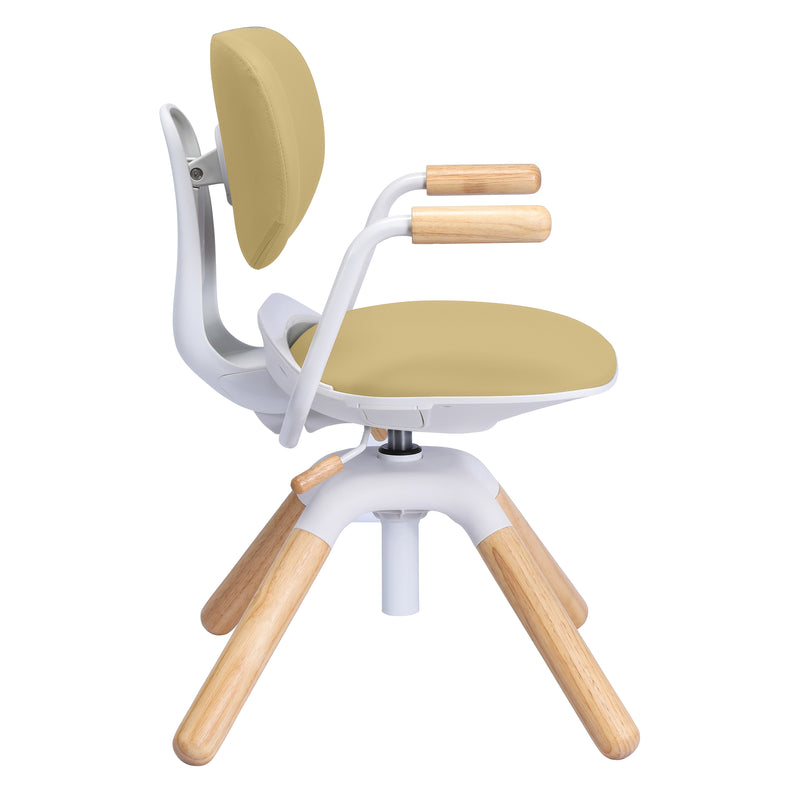 ApexDesk Kaleid Series Adjustable Desk Chair